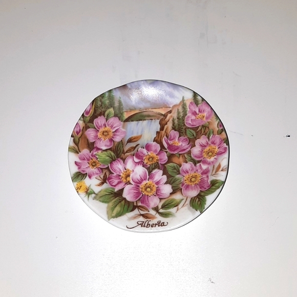 MINI Alberta Bone China Collector plate - Picture 1 of 4